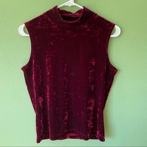 Turtle neck style velvet top
